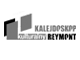 Reymont Kalejdoskop Kulturalny